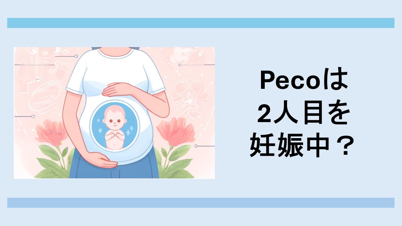 Pecoは妊娠中